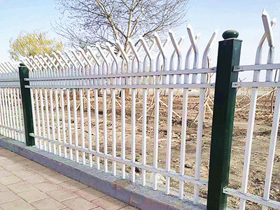 景区护栏 - 安平县秉德丝网制品有限公司图片2