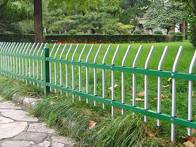草坪护栏 - 安平县秉德丝网制品有限公司图片2