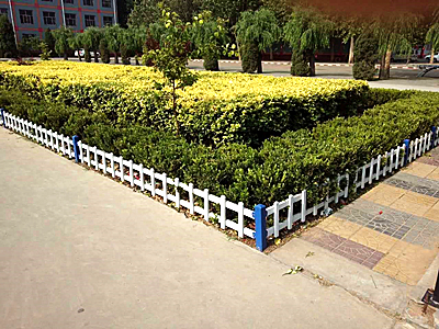 草坪护栏 - 安平县秉德丝网制品有限公司图片3