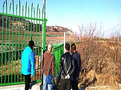 河道围栏 - 安平县秉德丝网制品有限公司图片2